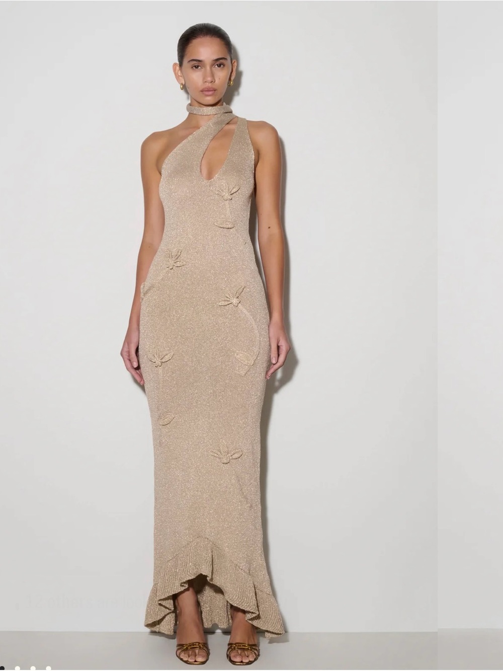 Meshki Dress Maxi Dress XXS NWT